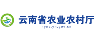 ����ʡ�r(n��ng)�I(y��)�r(n��ng)��d