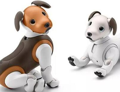 ������ʲô��,������ʲô��˼