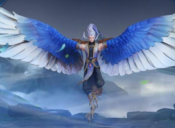 �B����ʲô��˼,�B�˵���˼