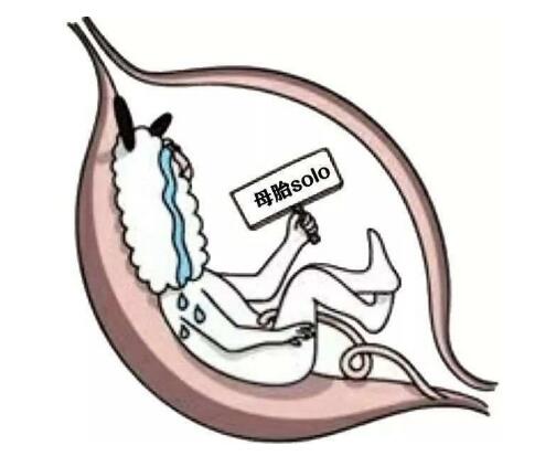 母胎solo是什么意思