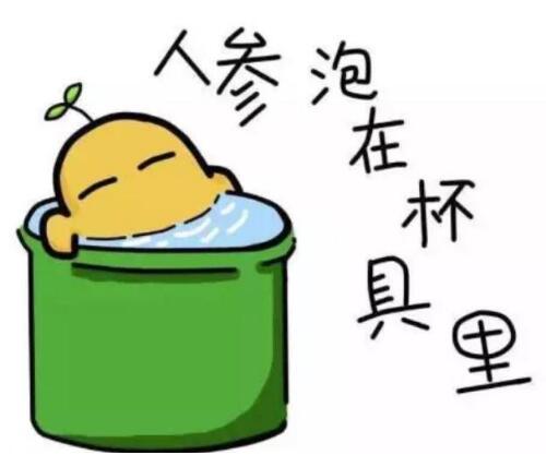 杯具是什么梗,杯具是什么意思