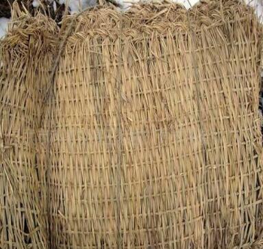 �ݰ���ʲô��,�ݰ���ʲô��˼