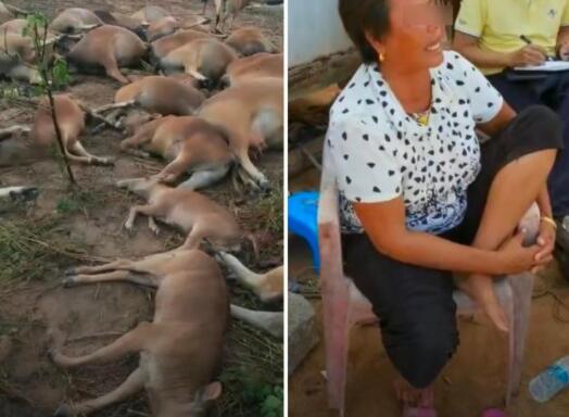 ����42�^ţ���ד�����(����ʡ�|����42�^ţ���ד�����)