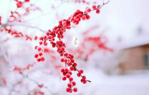 �����������䣨�茑������Ψ��Ԋ�䣩