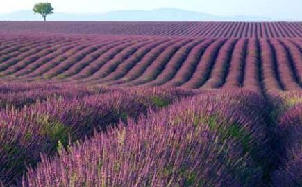 ���������������ģ��������������Ļ������^��