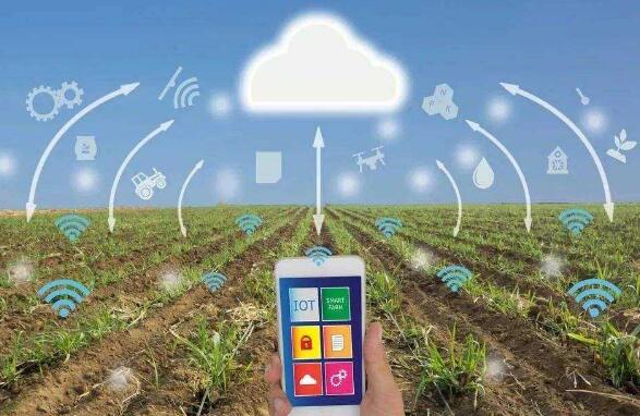 �ǻ���(li��n)�W(w��ng)��ʲô,ʲô���ǻ���(li��n)�W(w��ng),�ǻ���(li��n)�W(w��ng)����˼,�ǻ���(li��n)�W(w��ng)