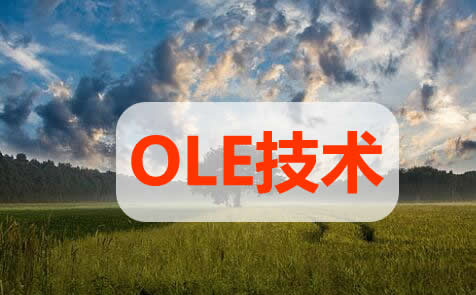 OLE���g(sh��)��ʲô,OLE���g(sh��)����˼,OLE���g(sh��)