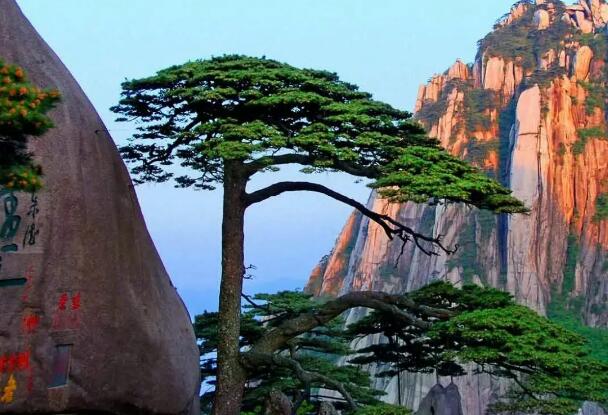 �����Ă�ʡ�ĺ��Q