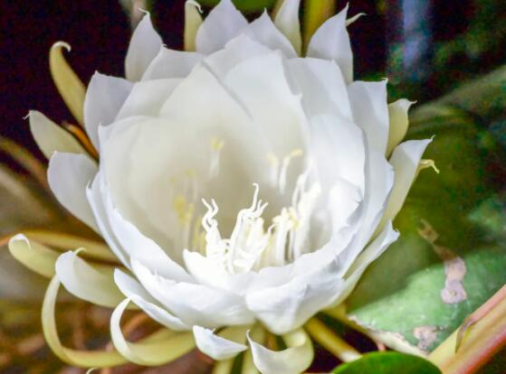 ��(y��u)�һ�ֲ���B-��(y��u)�һ��DƬ-��(y��u)�һ���Ԣ��