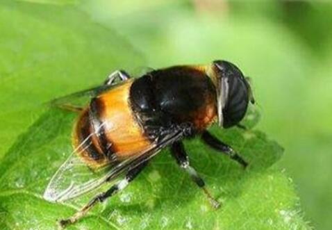 �ܲ�ω��B-�ܲ�ω�DƬ