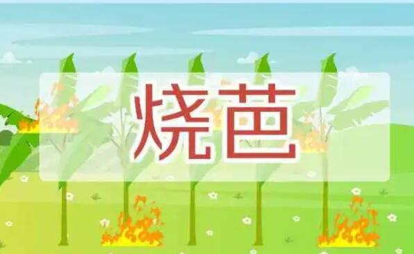 ӡ�������ʲô��˼-ӡ����ŵ�Ӱ�