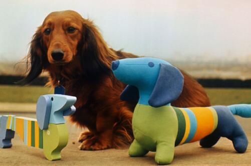 �W�\(y��n)��(hu��)�vʷ�ϵ�һֻ������W�\(y��n)��(hu��)�ĵ�һֻ�����