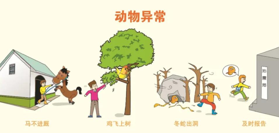 ����ǰ���A(y��)��:�������Rǰ����Щ�A(y��)����