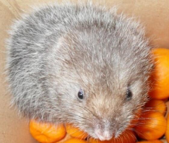 �V�|����