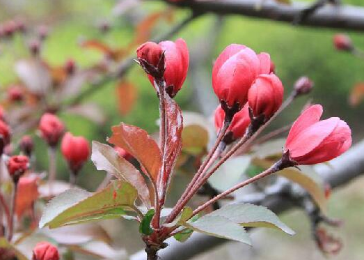 �Ϻ��ĈDƬ-�Ϻ��Ľ�B