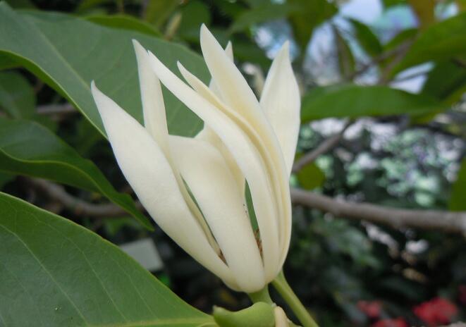 �����S���m�DƬ,�����S���m