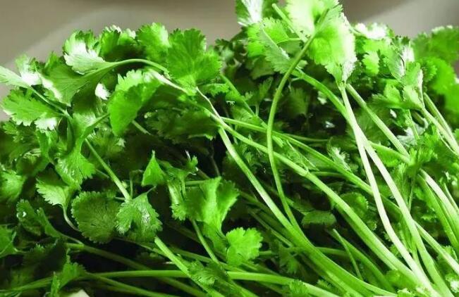 ����ӑ�������