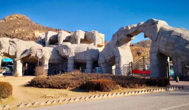 ���_(d��)�XҰ������@