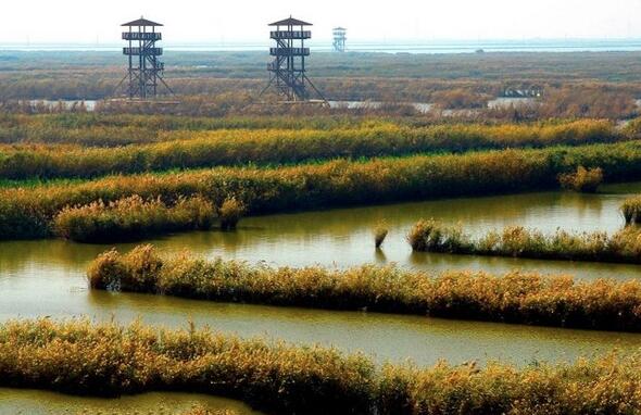 ���������Ԍm