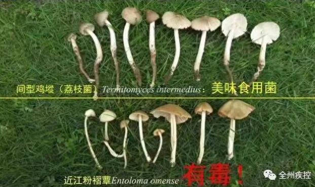 Ұ�����ж�,�ж�