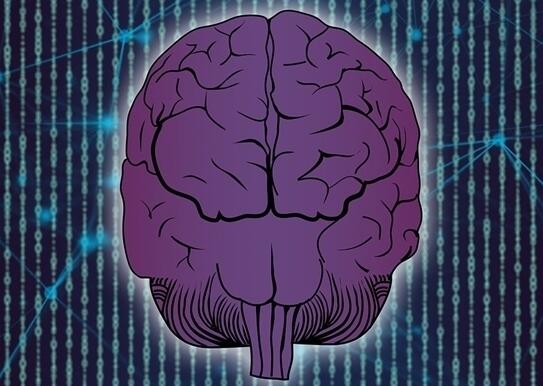 馬斯克腦機(jī)接口公司新進(jìn)展公布 盲視技術(shù)已在猴子身上見效