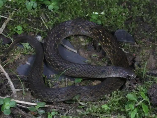 �Ĵ��l(f��)�F(xi��n)����N:�A���i����